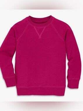 Primary Kids Dark Pink Crewneck Sweatshirt